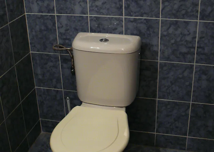 Okoun * Velké Losiny